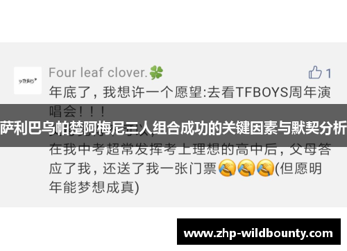 萨利巴乌帕楚阿梅尼三人组合成功的关键因素与默契分析