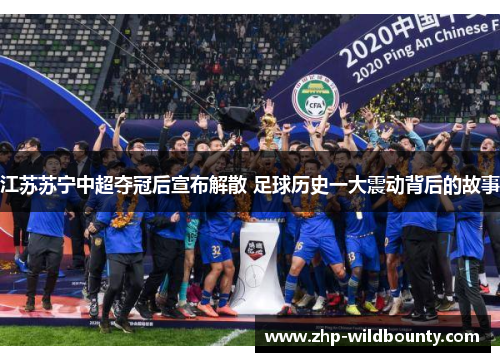 江苏苏宁中超夺冠后宣布解散 足球历史一大震动背后的故事