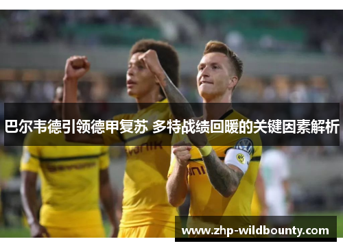 巴尔韦德引领德甲复苏 多特战绩回暖的关键因素解析